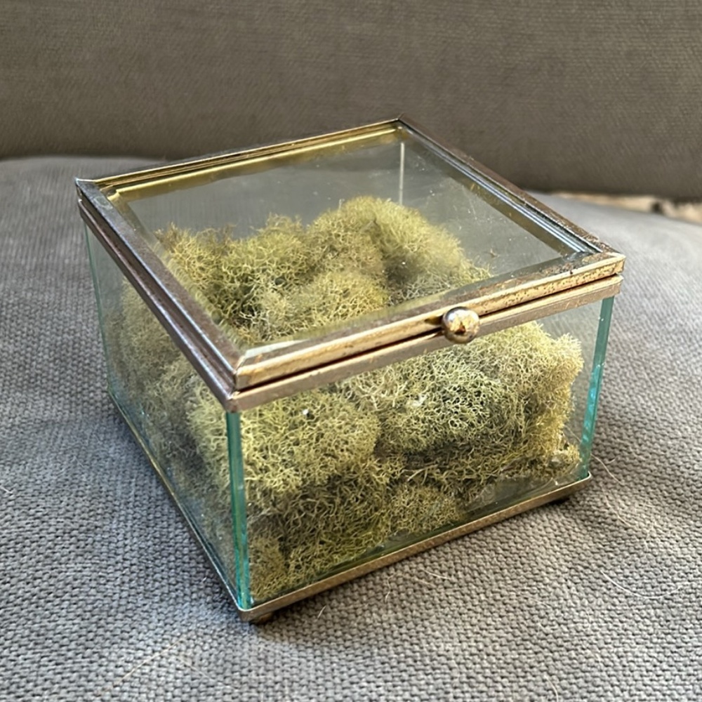 Ring Box - Picture 2 of 4